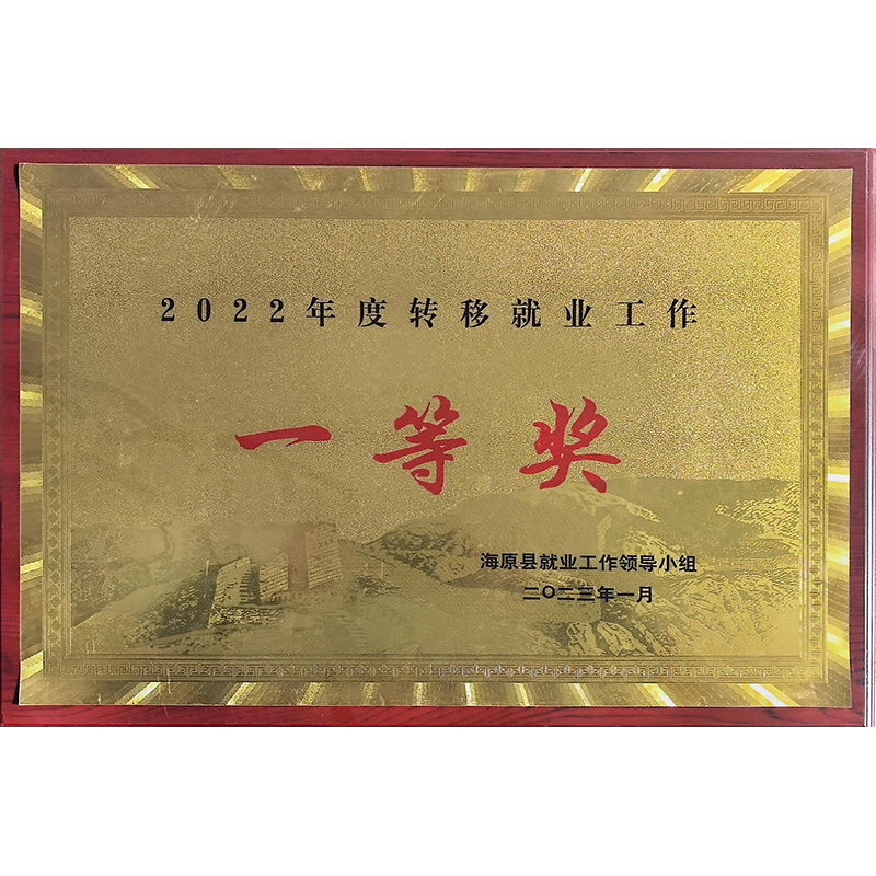 2022年度转移就业工作一等奖