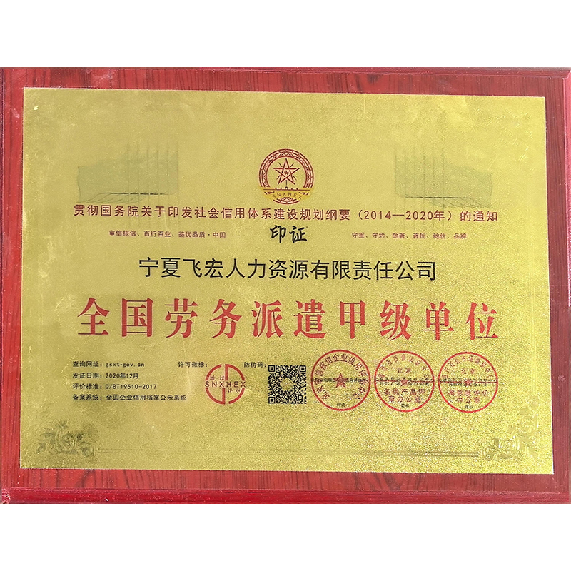 全国劳务派遣甲级单位